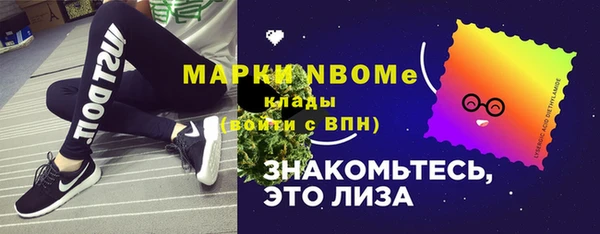 эйфоретик Ельня