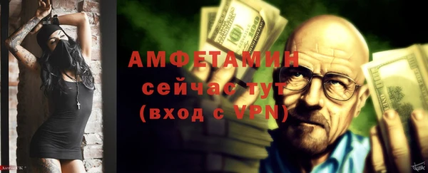 эйфоретик Ельня