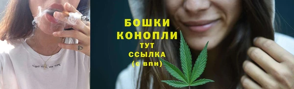 эйфоретик Ельня