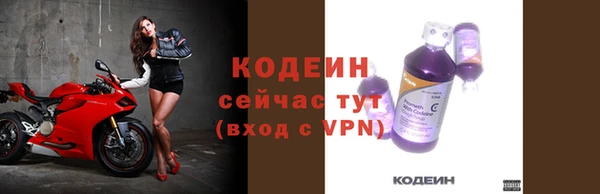 эйфоретик Ельня