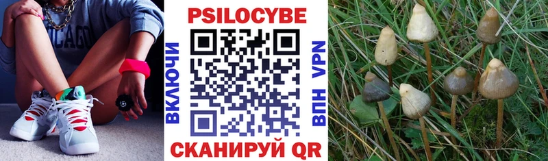 hydra рабочий сайт Мариинск Псилоцибиновые грибы ЛСД