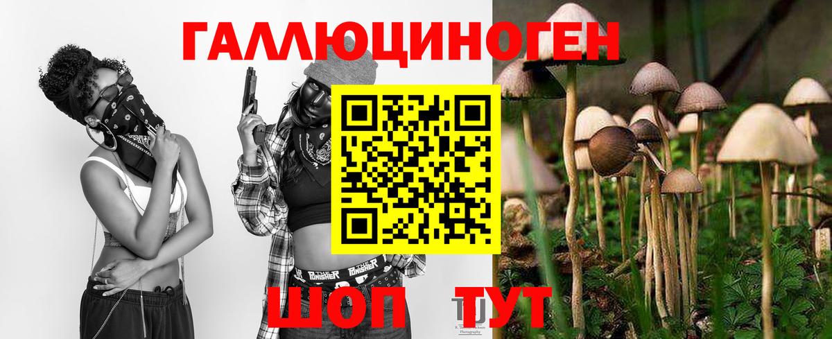 Галлюциногенные грибы Cubensis  Псилоцибиновые грибы MAGIC MUSHROOMS  закладка  Мариинск 