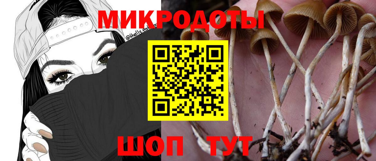 Псилоцибиновые грибы мухоморы Мариинск