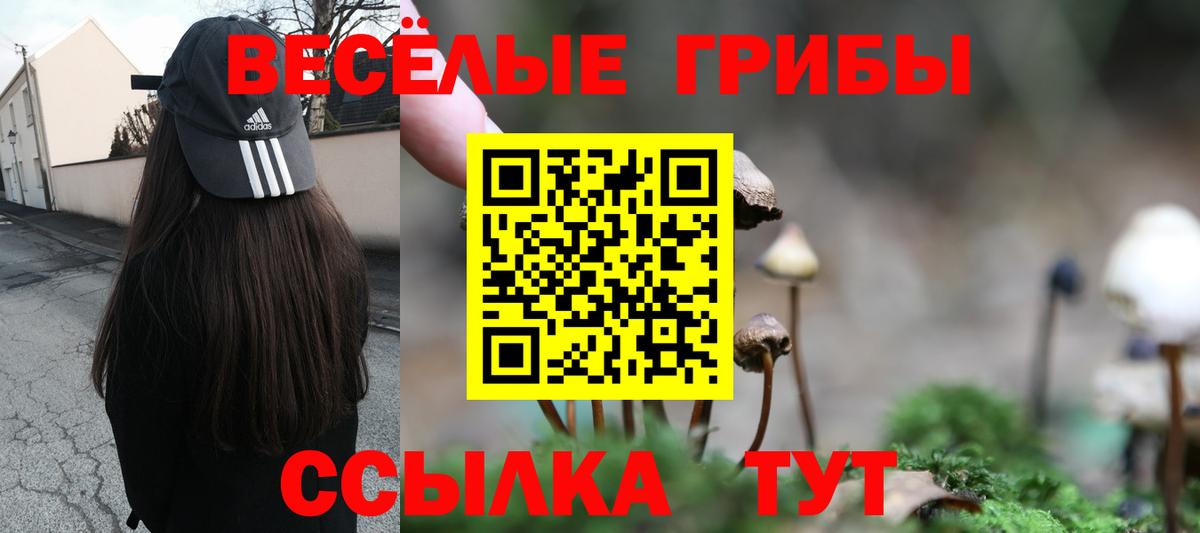 закладки  Галлюциногенные грибы мицелий  Вход с VPN  Галлюциногенные грибы Cubensis  Мариинск 