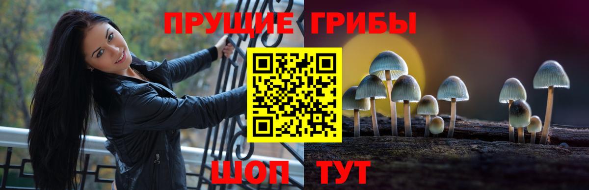 Псилоцибиновые грибы мицелий Мариинск